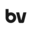 big.vision icon