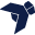 bigbluefly.com icon