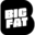 bigfat.nl icon