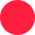 bigfloor.pro icon