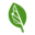 Bigleaf Networks