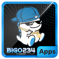 bigo234.info icon