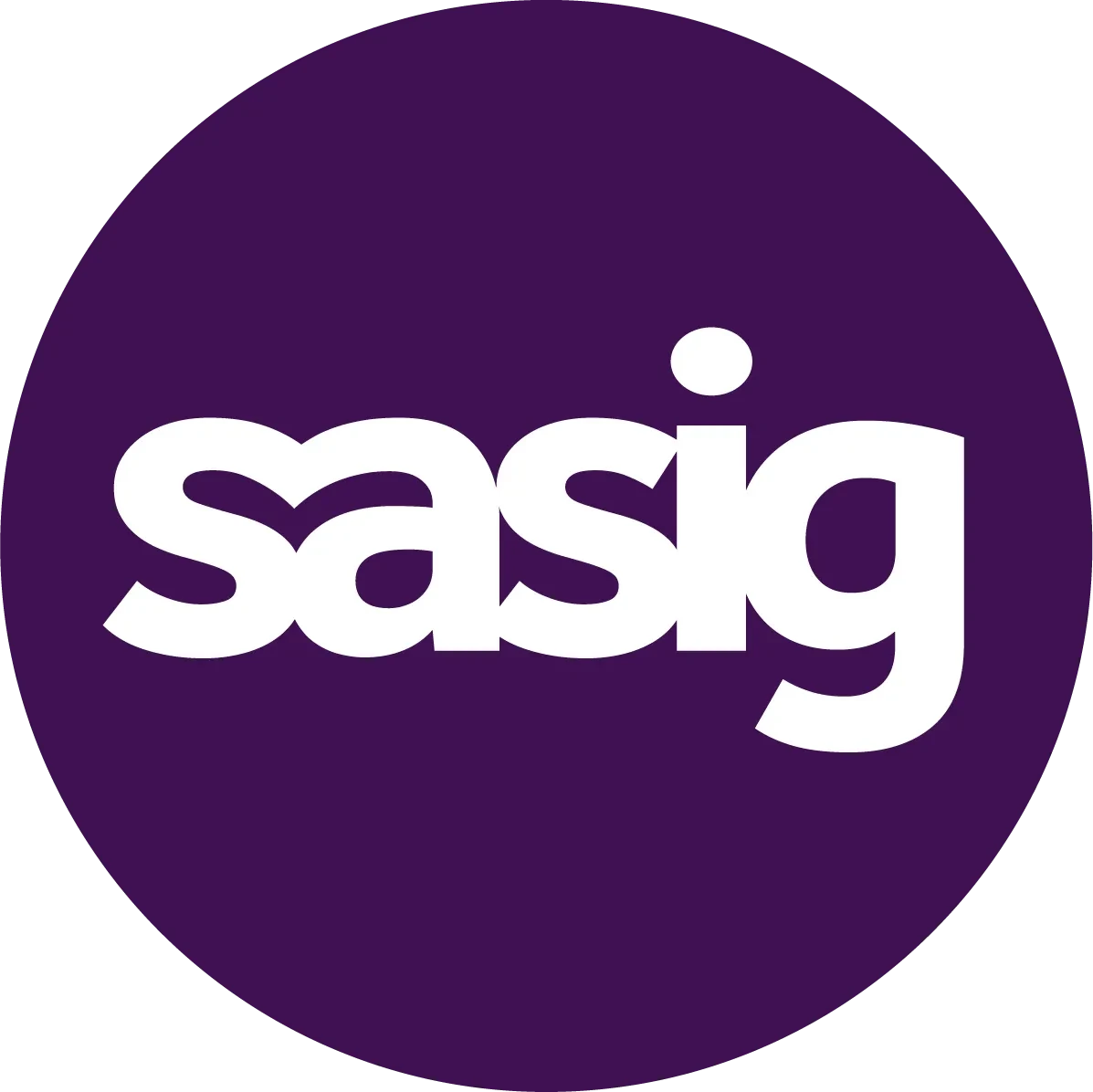 bigsasig.com icon