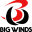 bigwinds.com icon