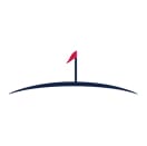 bigwinisland.com icon
