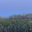 bigwoodsdeclaration.com icon