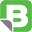 bigwraps.com icon