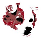 bildungsgemeinschaft-hund.de icon