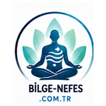 bilge-nefes.com.tr icon