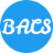 billackerconsulting.com icon