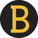 billionairesmiami.com icon