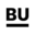 bimm-institute.de icon