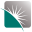 binghamhealthcare.org icon