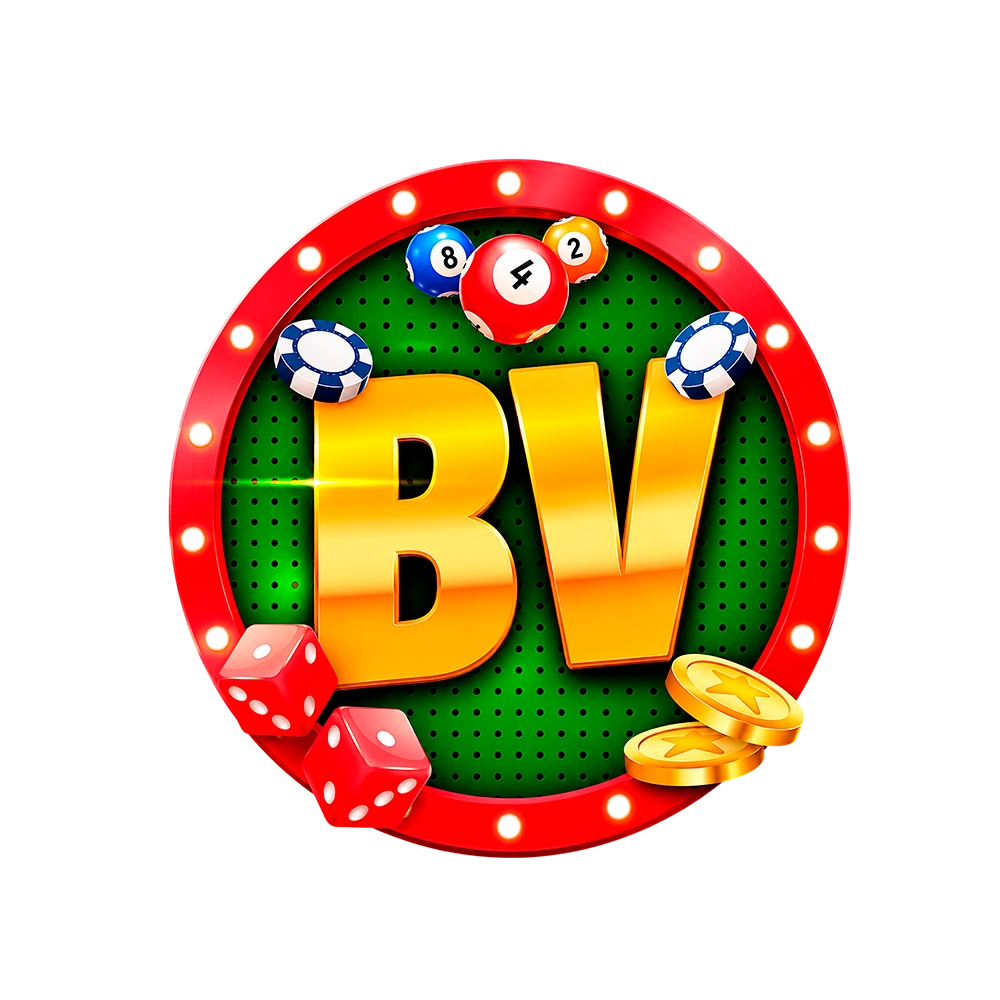 bingoaovivo13.net icon