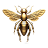 bingolder.com icon