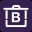 bintix.com icon