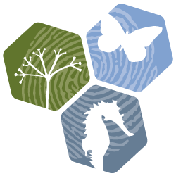 Domain Favicon