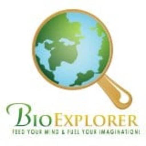 bioexplorer.net logo