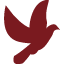 biologos.org icon