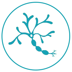 bionerveplus.com icon