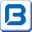 bioptron.com icon