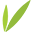biosyntia.com icon