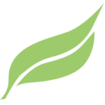 bioteo.com logo