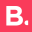 birdinflight.com icon
