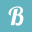 birdwp.com icon
