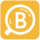 birrapedia.com icon