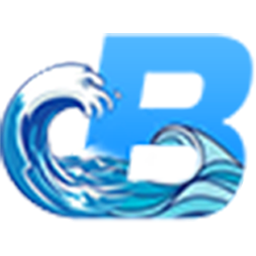 birustar.com icon