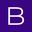 bis.nl icon