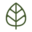 bisonbotanics.com icon