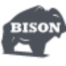 bisonip.com icon