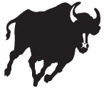 bisonpanel.com icon