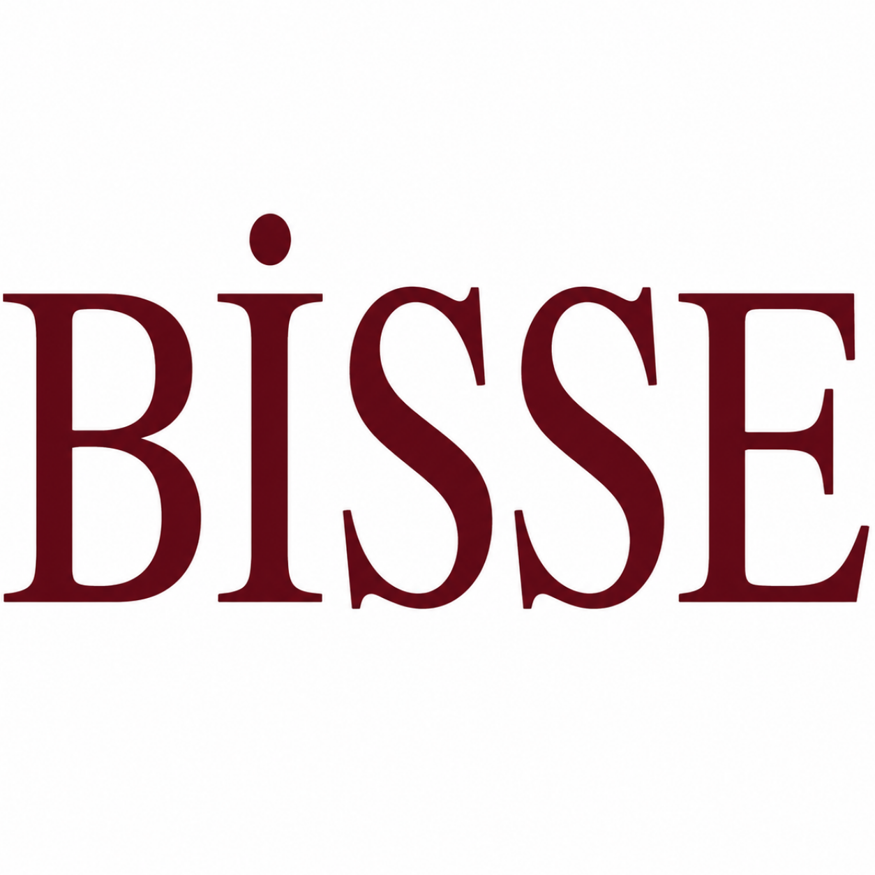 bisse.com icon