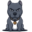 bitclassic.org icon