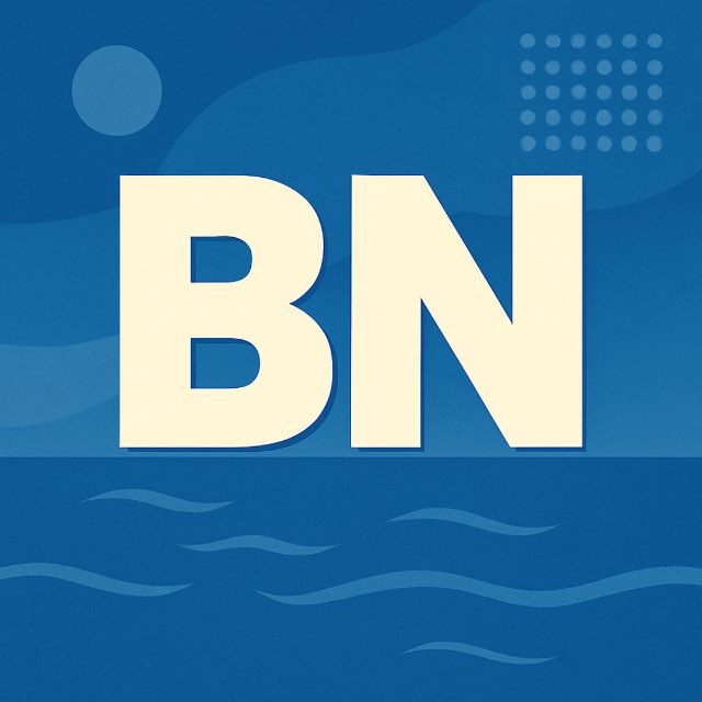 bitrixnodes.pro icon