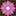 bitterroottrail.com icon