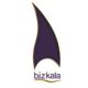 biz-kala.ir icon
