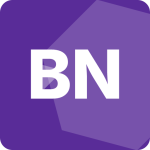 biz-news.ro icon