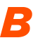 bizbet-au.org icon