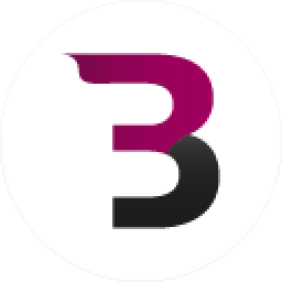 bizeemtraffic.com icon