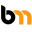 bizmarketing.us icon