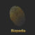 bizpedia.com icon