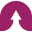 bizriseup.com icon