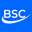 bizsyscon.com logo