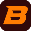 bizz77login.site icon