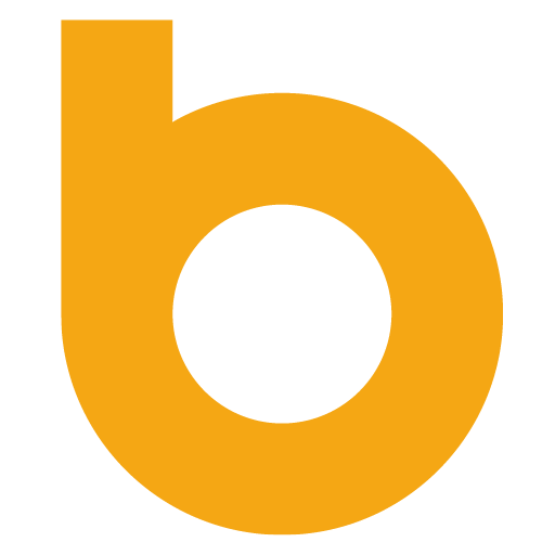 bizzerd.com icon