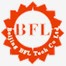 bjbfltech.com icon
